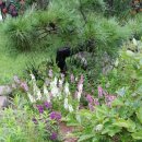 구름계곡민박 이미지