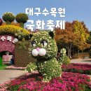 꽃향기어린이집 | [대구 가을여행] 2025 대구수목원 국화축제 방문후기(11.7 개화현황/주차정보)