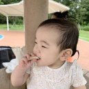 오천읍민운동장 네이버블로그
