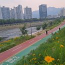 중랑천 만남의 광장 이미지