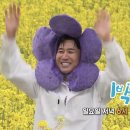[불판] 봄나들이 갑니다🎶 이미지