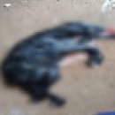 서구청 제2부지 이미지