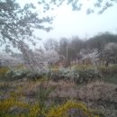 삼익공인중개사사무소 이미지