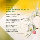 월드홍익선원 이미지