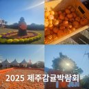 서귀포농업기술센터 청사 | 2025 제주감귤박람회 첫날 지금 서귀포 가볼만한곳 감귤체험 추천