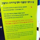 스타덤플링