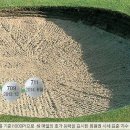 에이스회원권 이미지