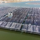 태양크린 이미지