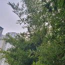 백현동558-2 | [임장] 백현동 판교푸르지오그랑블 임장후기