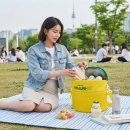 빙그레할인마트 | 피크닉 캠핑 도시락 보냉백 빙그레 바나나맛우유 쿨러백 굿즈 추천 후기 및 할인정보