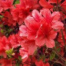 한율농장 이미지