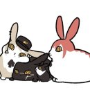 더메르시 이미지