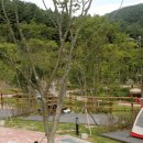 홍천강 자라바위 오토캠핑장 이미지