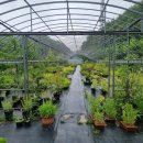 야생초농원 이미지