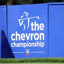 주식회사더골프 이미지