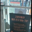 명품고양이카페 이미지