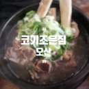 코기조은집 이미지