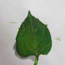 도당중학교 이미지