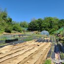 포일농장 이미지