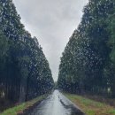 재동목장 이미지