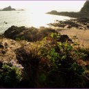 구례포해수욕장(먼동) 이미지