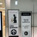 뮤지컬 그날들 故김광석 30주기 기념 공연 디큐브링크아트센터 류수영 산들 관람 후기