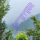 두메유기농원 이미지