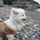 항촌소공원 이미지