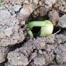 생의 공간 이미지