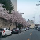 경대교 주변 이미지