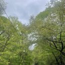 [충북 영동 숙소] 자연과 함께 힐링하러~ 민주지산자연휴양림 숙박후기