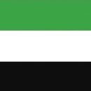 (주)펫에어라인 이미지