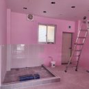 J애견미용 이미지