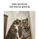 하나노동법률남동수 | 부당해고 구제신청 노무사 무료로 선임하는 방법 부산노동권익센터 후기 EP.3