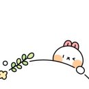 김백정고깃집 이미지