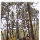 청하골천 무명3교 | &#39;산내들&#39; 벗들과 천령산(우척봉)으로의 가을산행