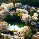 덕천서원화장실 이미지