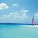 꿈꾸는 바다 이미지