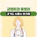 하온치과의원 | 경기도 시흥시 장곡동 교정치과 총정리