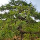 구암동387 이미지