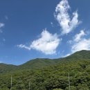 오늘리버독채펜션