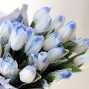 아이스퀸 - 목포시 용해지구로88번길 23 | 아이스퀸