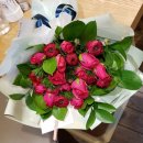 동산9세천 이미지