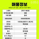 미스터홈즈부동산중개관악신림센터 | 서울대입구역 초역세권, 지안타워 신축 원룸