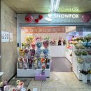 스노우폭스플라워건대