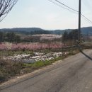 지방도925호선 이미지