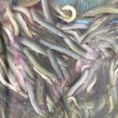 1-93호공원 이미지