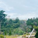 애기봉 평화생태공원 | 김포애기봉평화생태공원 예약 및 스타벅스 방문 후기