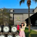 트리플에-이(AAA) | 대만 여행 필수 계절 이란여행 카발란 위스키 증류소 가는법 예약방법 여행지