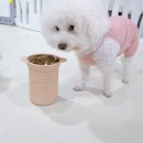 마이페츠룸 네이버블로그